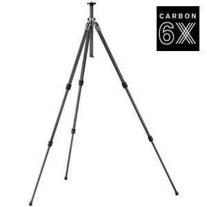 Gitzo GT-531 Carbon stat�v
